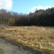 Земельный участок, Киевская обл. фото