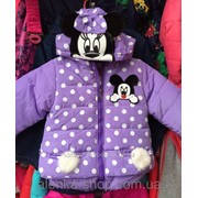 Детская курточка Микки на девочку на 2-4 года, код товара 251267561 фотография