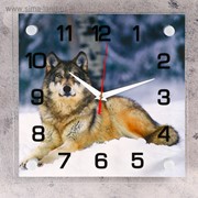 Часы настенные, серия: Животный мир, “Волк“, 25х25 см, микс фотография