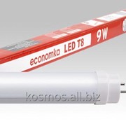 Светодиодные лампы Т8 600мм 5700К Economka