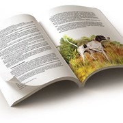 Книги в термоклеевом переплете