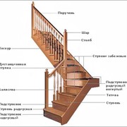 Подступеньки для лестниц из ясеня фото