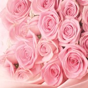 Фотовитраж ПР-45 Розовые розы фото