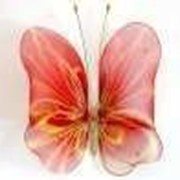 Бабочка декоративная фурнитура для штор и тюлей большая рыжий полосатик 20*18 см фото