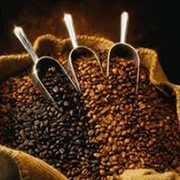 Кофе арабика фото