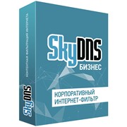 Серверное программное обеспечение SkyDNS Бизнес. 100 лицензий на 1 год (SKY_Bsn_100) фотография