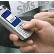СМС (SMS) маркетинг фото