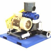 Компрессоры роторные ТИПА ВР ИЛИ ГР 115 фото