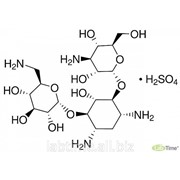 Стандарты фармакопейные Канамицин сульфат, 200 мг 1355006 фото