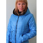 Куртка женская на синтепоне голубого цвета 02/8 фото