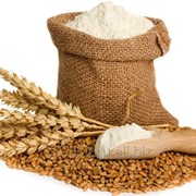 Мука пшеничная хлебопекарная фото