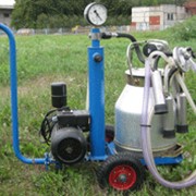 Установка для индивидуального доения УИД-1 фото