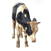 Комбикорма для крупного рогатого скота фотография