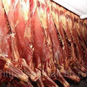 Мясо говядина охлажденное и замороженное в полутушах, производство Белоруссия
