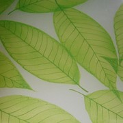 Триплекс с декором - Листья зеленые фото