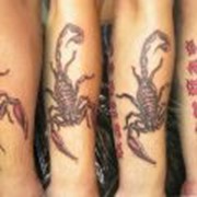 Татуировка скорпиона на предплечьи фото