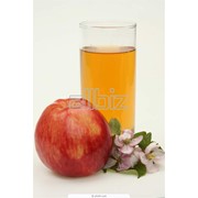 Сок яблочный прямого отжима, оптом фото