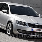 Усилитель жесткости кузова для Skoda, артикул 1U6813319A