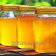 Мёд серпуховый фото