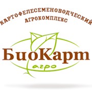 Кукуруза “Днепровский 181“ по цене производителя Биокарт-Агро фото