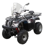 Квадроцикл ACXA ATV 150/2027 фото
