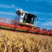 Продукция из полиуретана для машиностроения и производства сельскохозяйственных машин фото