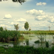 Експертний колектив ІСР постійно співпрацює із представниками центральних та місцевих органів влади, неурядовими та міжнародними організаціями, регіональними партнерами. Науковий доробок організації складають макроекономічні, соціально-політичні та маркет