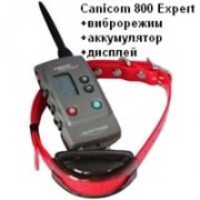 Canicom 800 expert комплект электронный дрессировочный ошейник с пультом