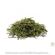 Иссоп лекарственный (Hyssopus officinalis, herba Hyssop) трава 100 грамм фотография