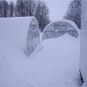 Теплицы стальная оцинкованная станд 4м-8 №1 фотография