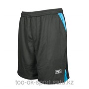 Шорты Bad Boy Fitness Mesh Shorts