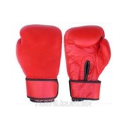 Боксерские перчатки Арт. GSC-1001 фотография