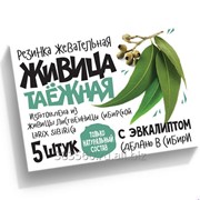Смолка Живица таёжная с эвкалиптом - натуральная жевательная резинка фото