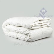 Одеяло пуховое “Соло“ 175х210 см. фото