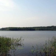Участок 32,3 Га у озер Уклейно и Ужо в Псковской области фото