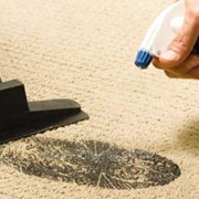 Химчистка и чистка ковров с выездом на дом или офис! фото