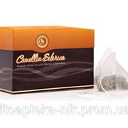 Напиток чайный Camellia sibirica (Камелия сибирика) с золотым корнем в пирамидках фото