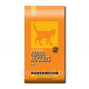 Сухой корм для котят Nutra Nuggets Professional Cat 18 кг фотография