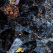 Лабрадориты фото