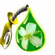Призводство биогаза из биомассы фото