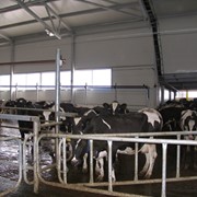 Фермы животноводческие фотография