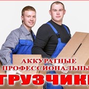 Услуги профессиональных грузчиков в Перми фото
