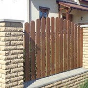 Забор деревянный фото