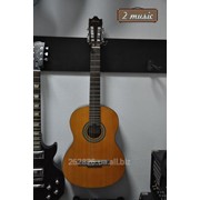 Классическая гитара Ibanez GA3NJP