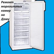 Ремонт холодильников в Нижнем Новгороде фото