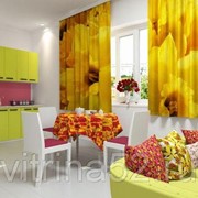 Шторы для кухни “Желтые цветы“ фото