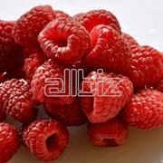 Свежемороженые ягоды : МАЛИНА фотография