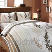 Комплект постельного белья Hobby Christina коричневый фотография