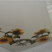 Глянцевые натяжные потолки с рисунком фото