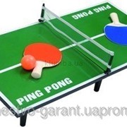 Набор для мини тенниса Pingpang Table (пинг-понг) фото